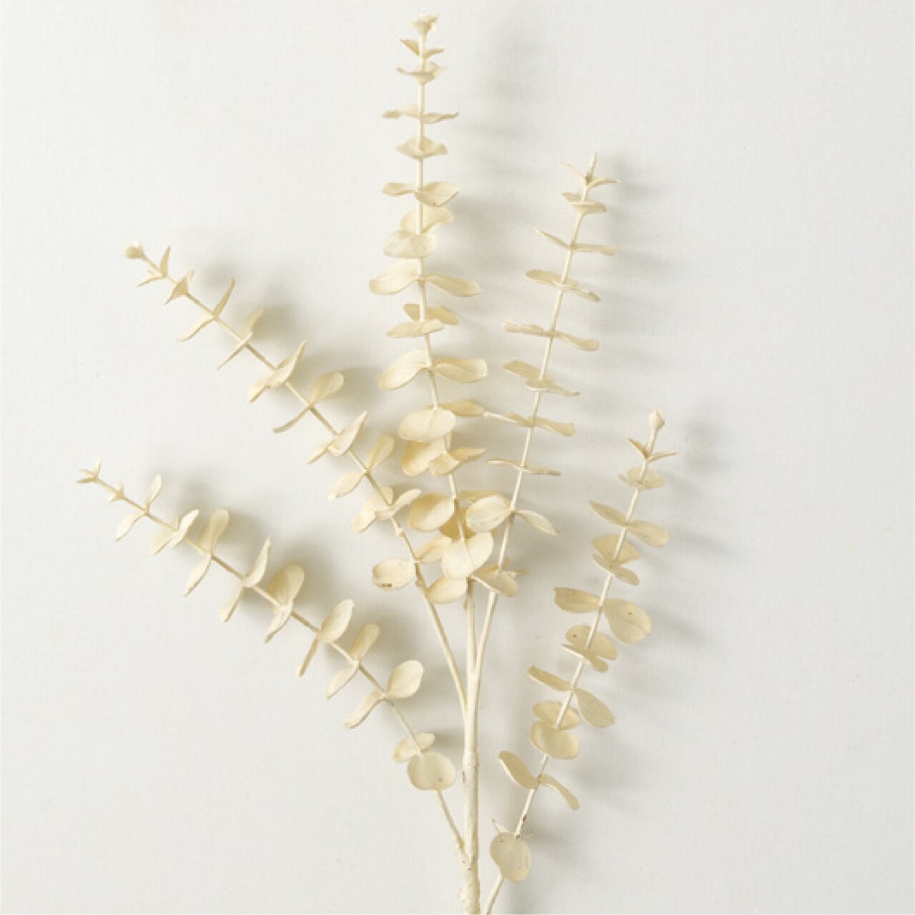 Sullivan's Eucalyptus Spray, Cream Faux Floral Stem for Crafting, Weddings, Home and Holiday Decoration, 22 Inch
